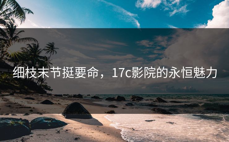细枝末节挺要命，17c影院的永恒魅力